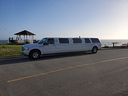 12 passenger limo